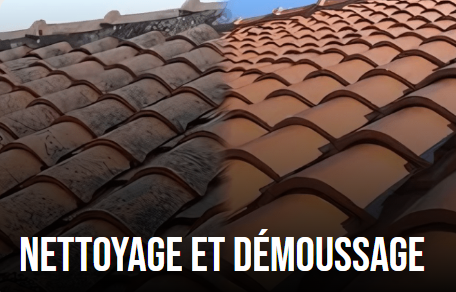 Nettoyage et démoussage